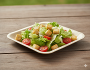 Assiette carrée en palmier élégance 18 cm, rigide et biodégradable – vaisselle écologique LSI Distribution